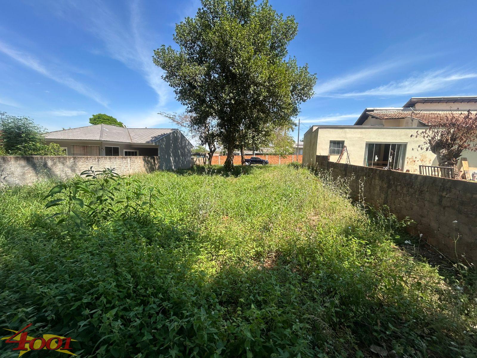Lote à venda, VILA DOS TECNICOS, GUAIRA - PR