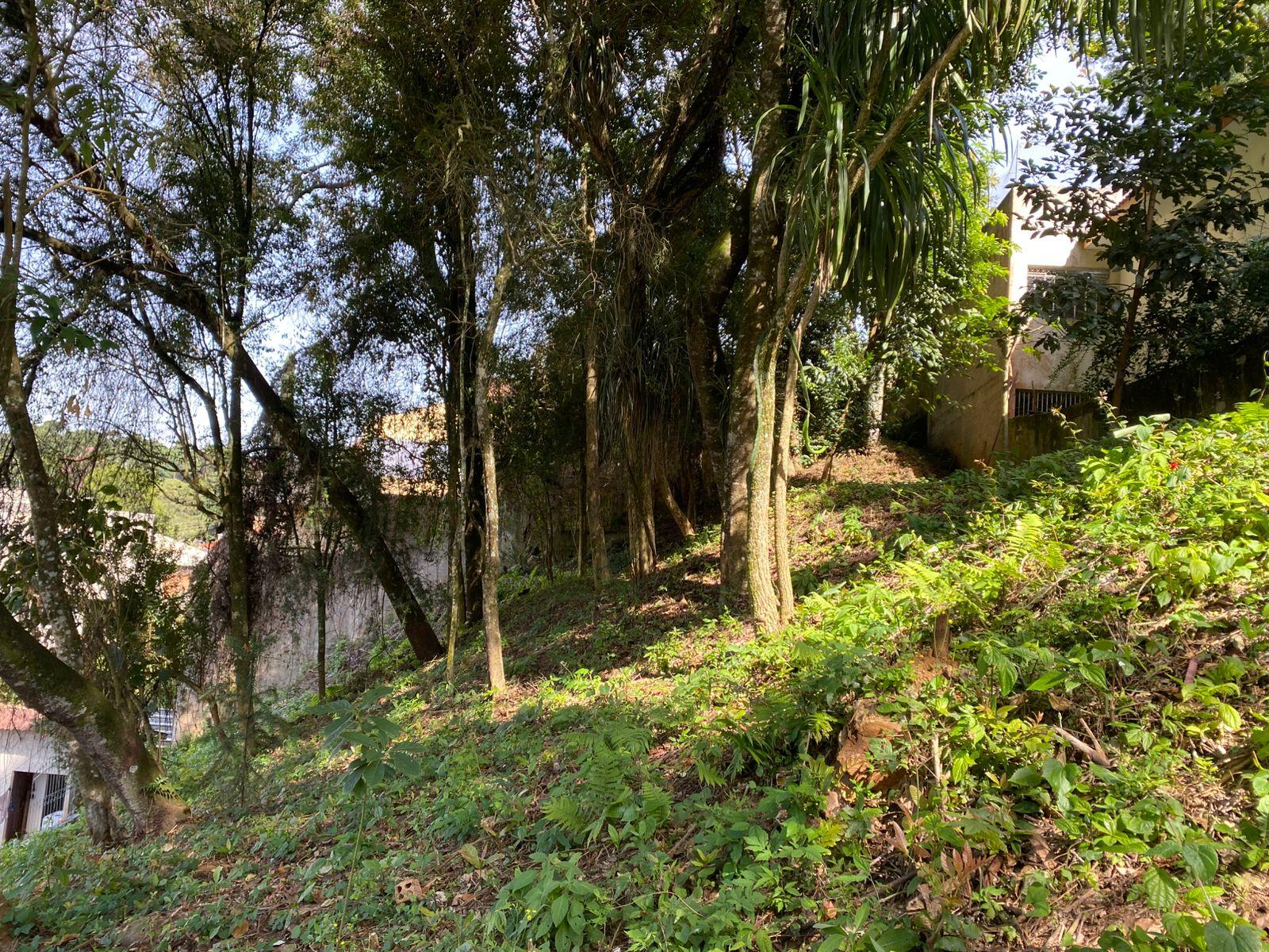 Sobrado com 7 dormit?rios ? venda, S?TIO CERCADO  , CURITIBA - PR