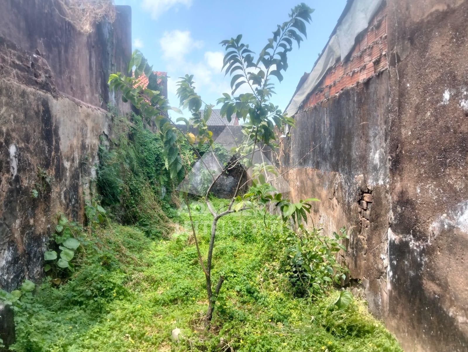 Casa, 2 quartos, 220 m² - Foto 6