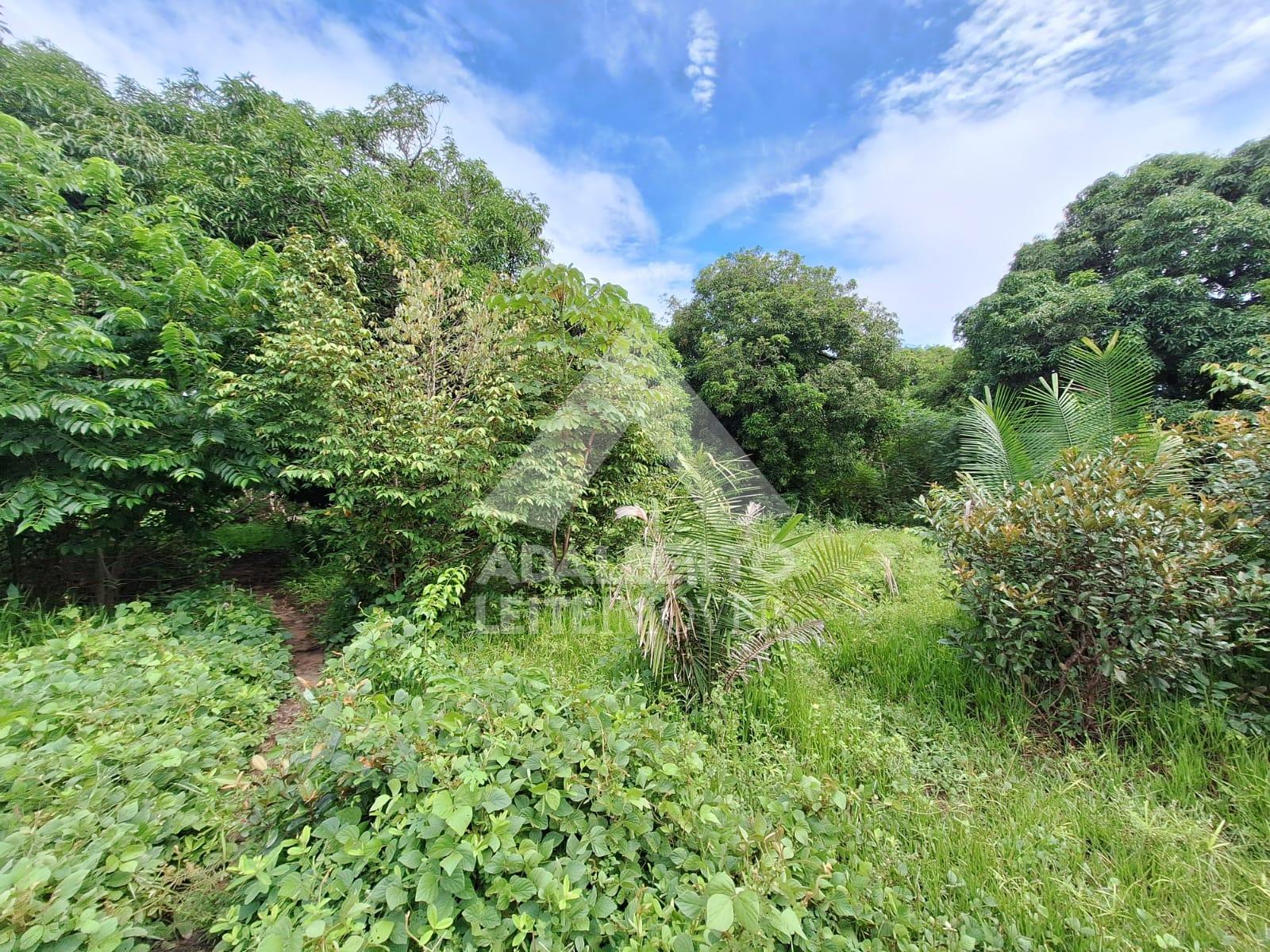 Terreno, 1 hectares - Foto 3