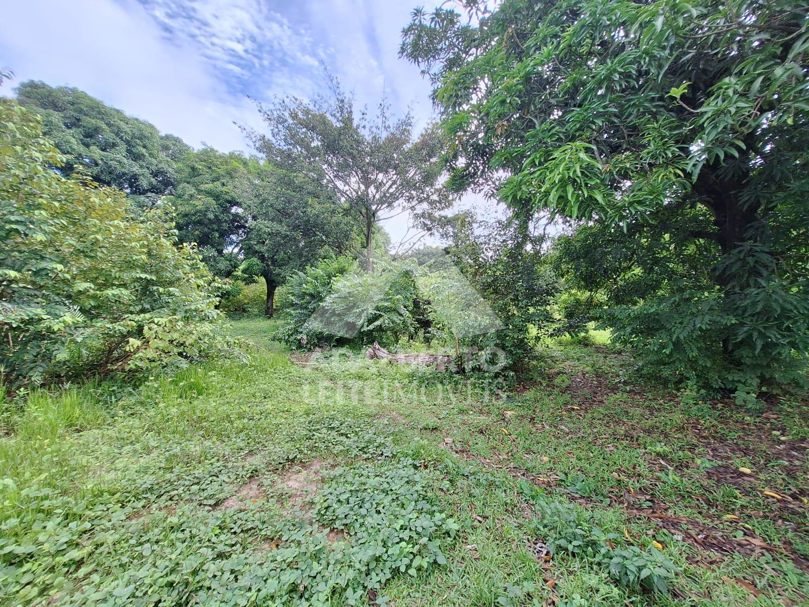 Terreno, 1 hectares - Foto 4