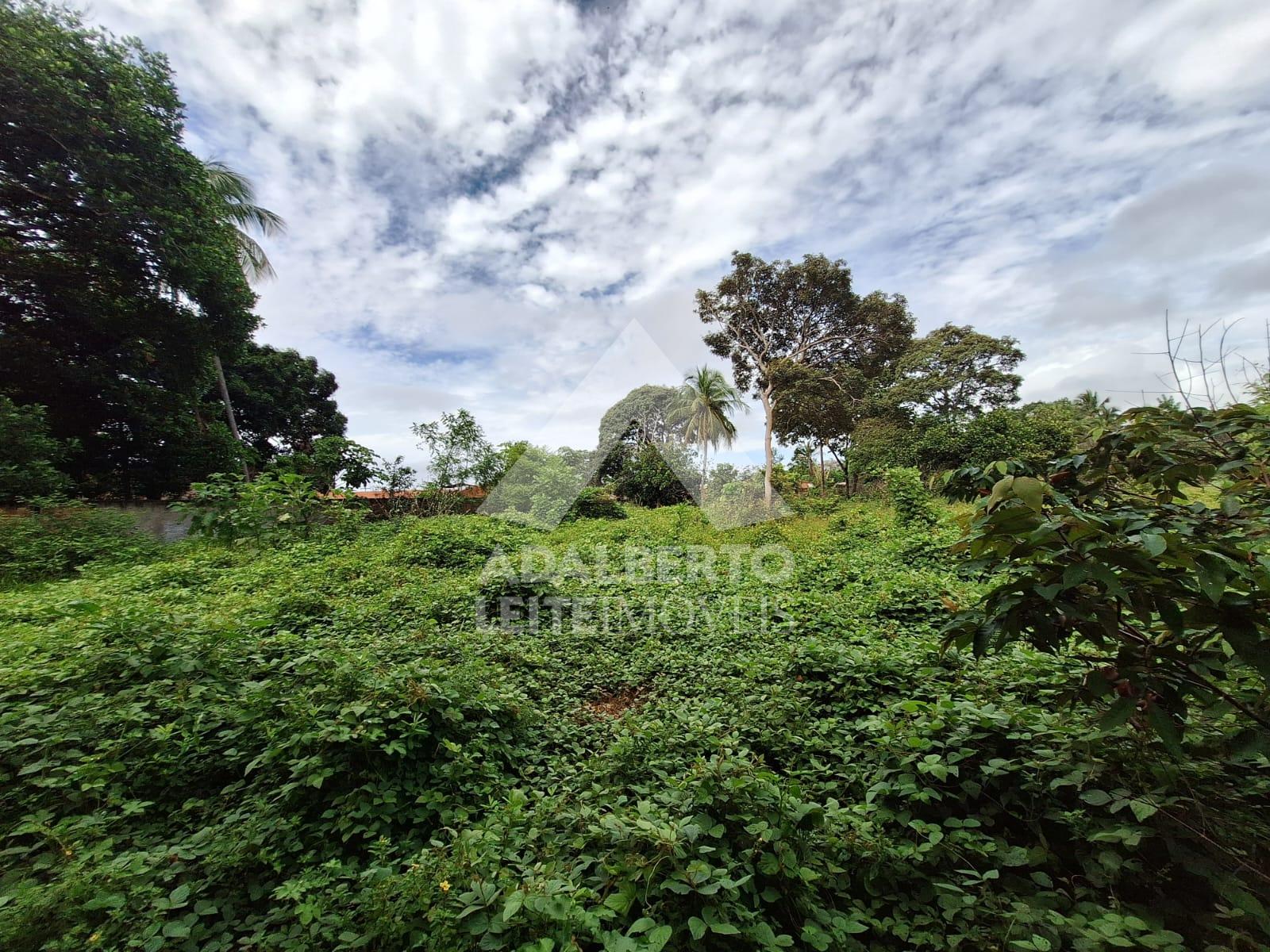 Terreno, 1 hectares - Foto 7