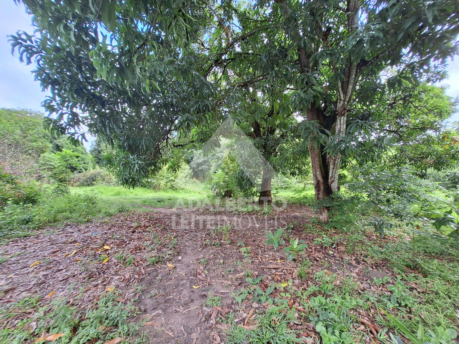 Terreno, 1 hectares - Foto 8