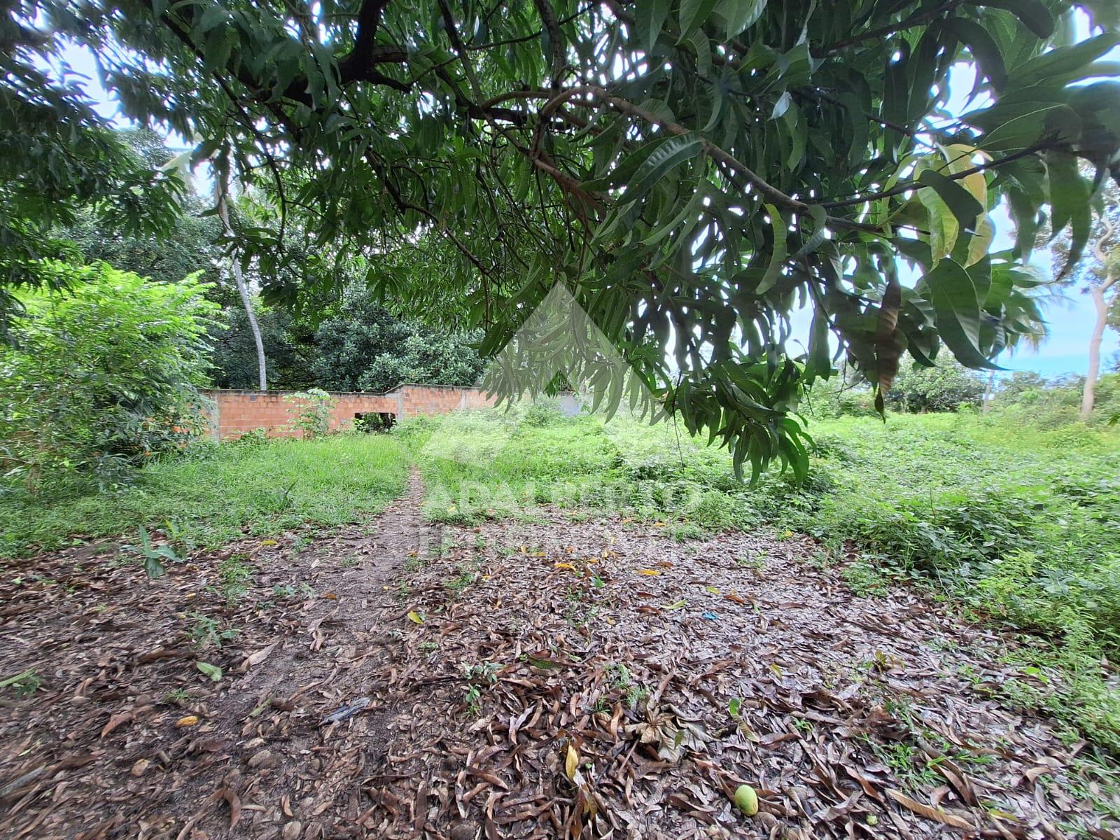 Terreno, 1 hectares - Foto 9