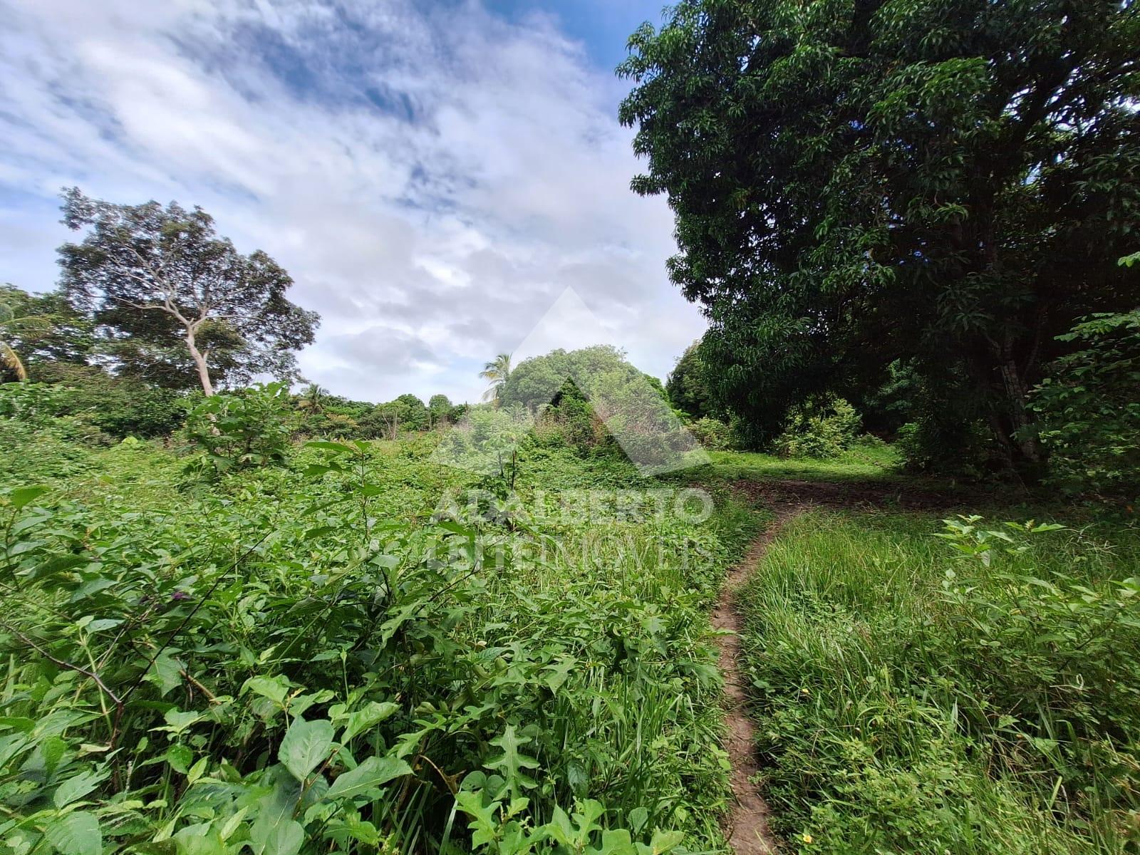 Terreno, 1 hectares - Foto 12