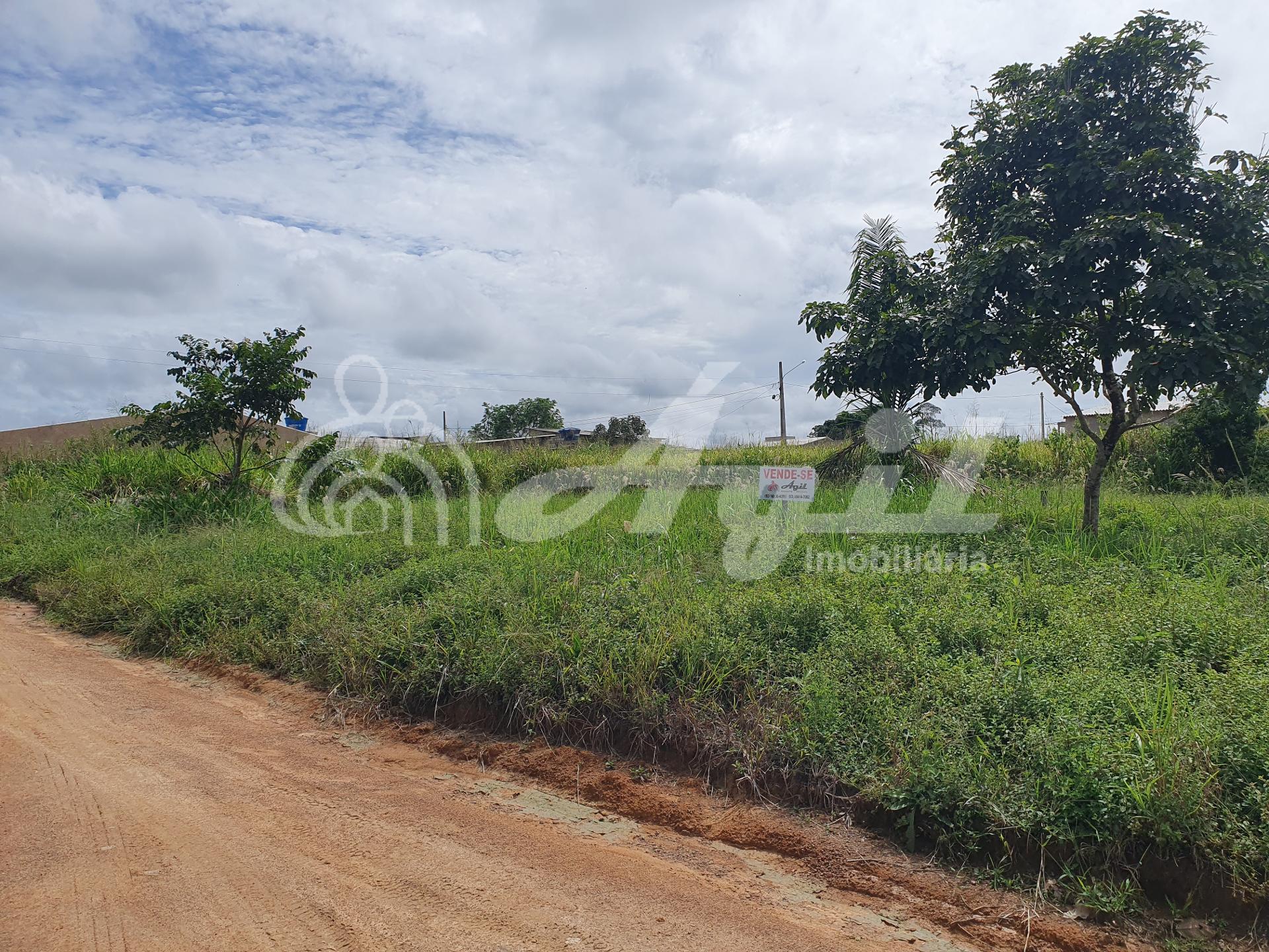 Terreno ? venda, S?o Bento, NOVO PROGRESSO - PA