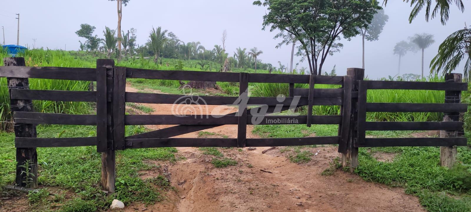 Fazenda, Zona Rural, NOVO PROGRESSO - PA