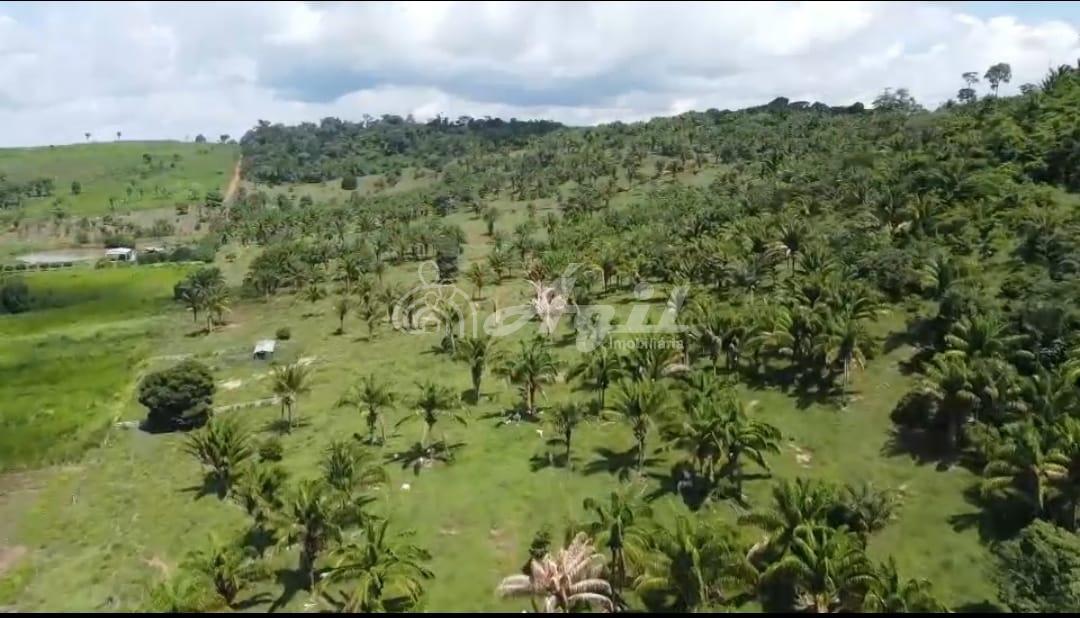Rural ? venda, Zona Rural, NOVO PROGRESSO - PA