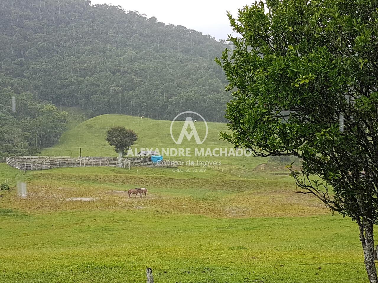 Fazenda à venda, ALTO RIO AZUL, RIO DO CAMPO - SC