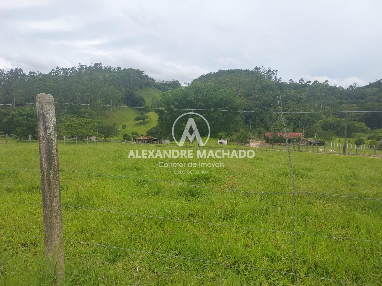 Sítio à venda com grande pastagem e nascentes em SAO JOAO BATISTA - SC