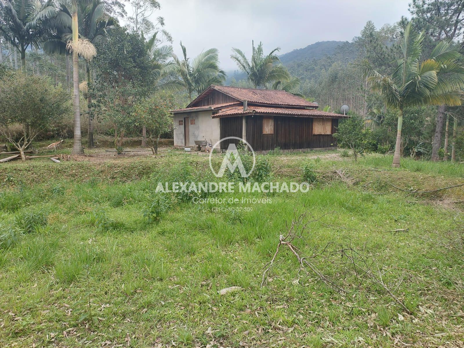 Sítio à venda, LAGEADO ALTO, GUABIRUBA - SC