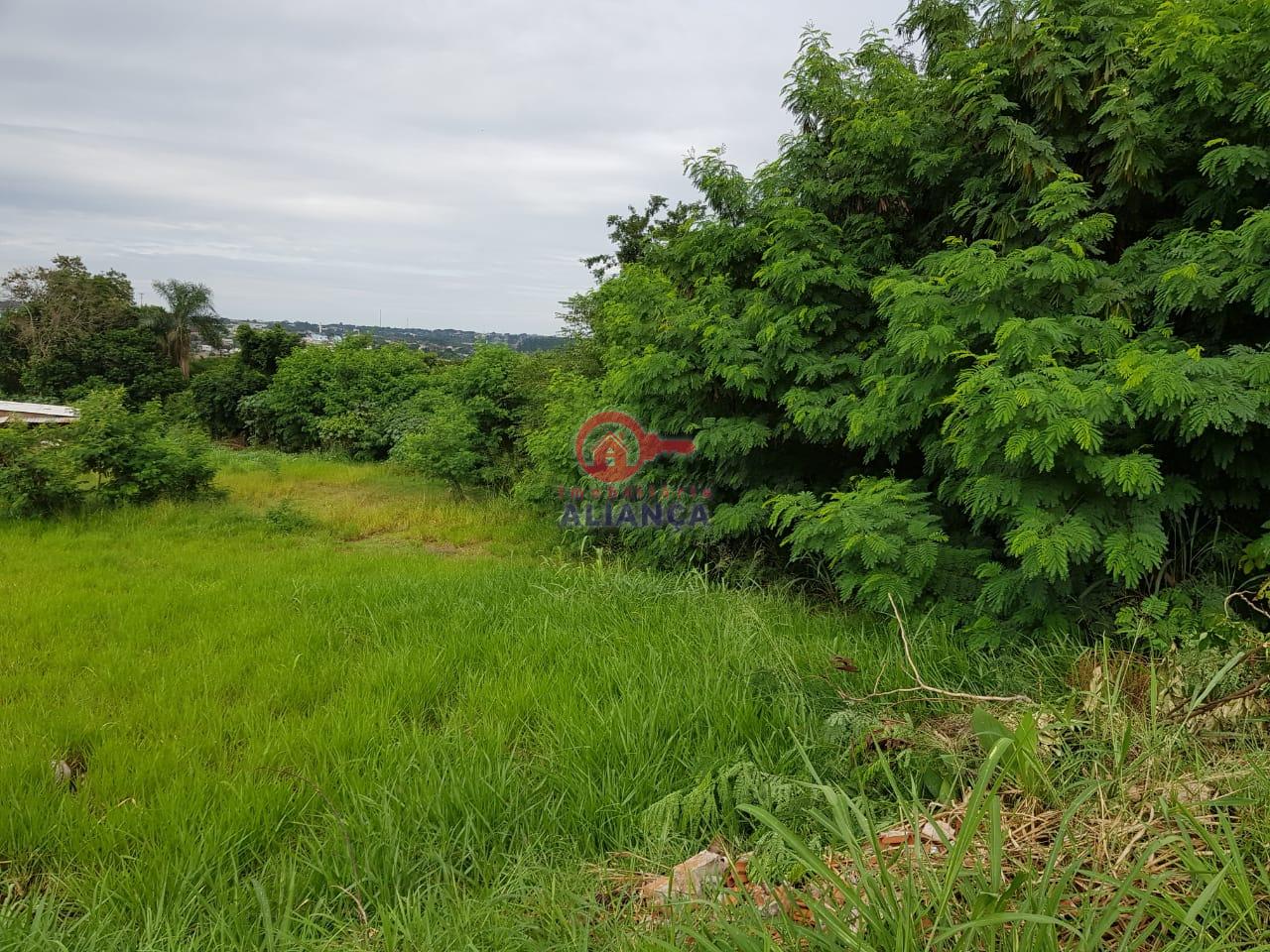TERRENO A VENDA LOCALIZADO NO JARDIM CONCRDIA
