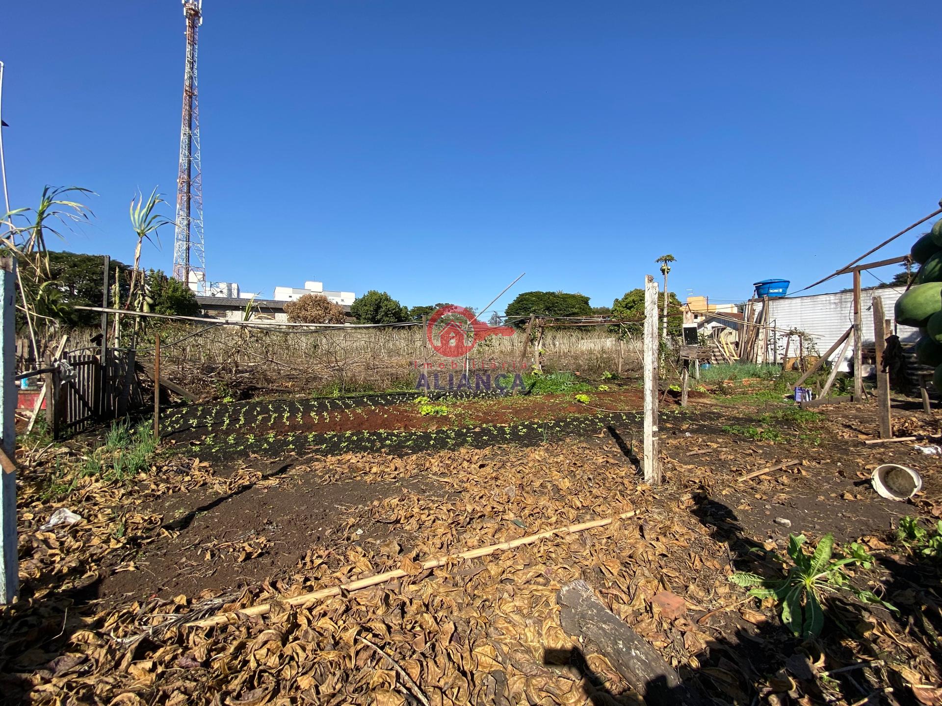 Imobiliria Aliana em Toledo Paran