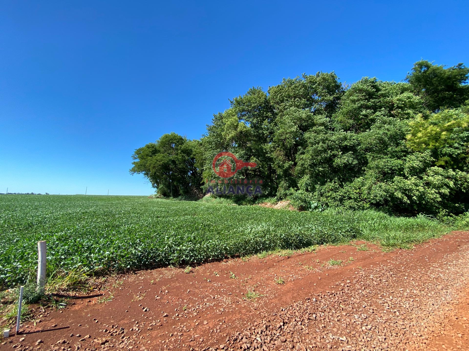 Chcara  venda, ZONA RURAL, TOLEDO - PR