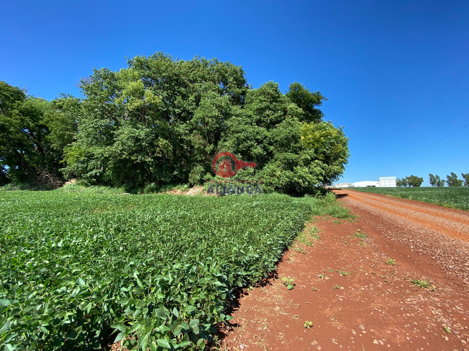 Imobiliria Aliana em Toledo Paran