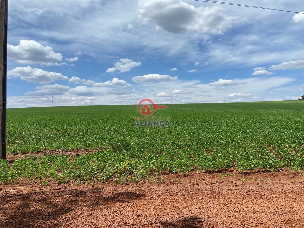 Chcara  venda, LINHA VISTA ALEGRE, TOLEDO - PR
