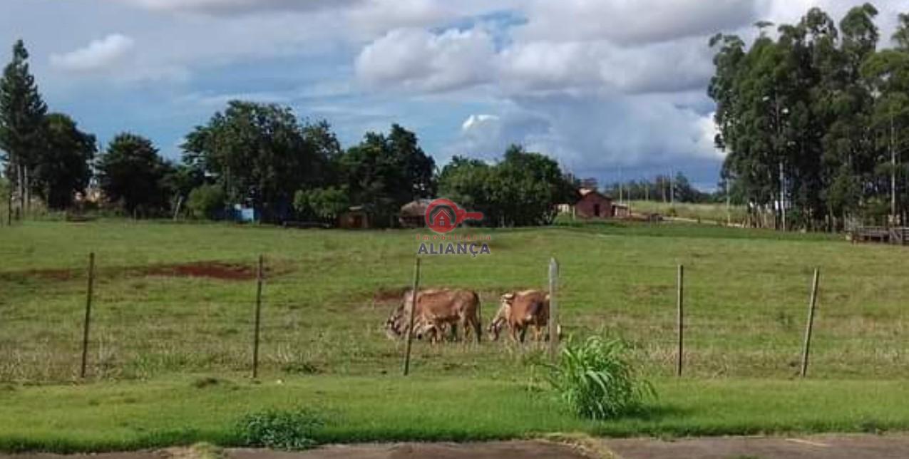 Imobiliria Aliana em Toledo Paran