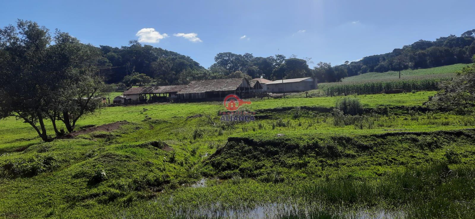 Imobiliria Aliana em Toledo Paran