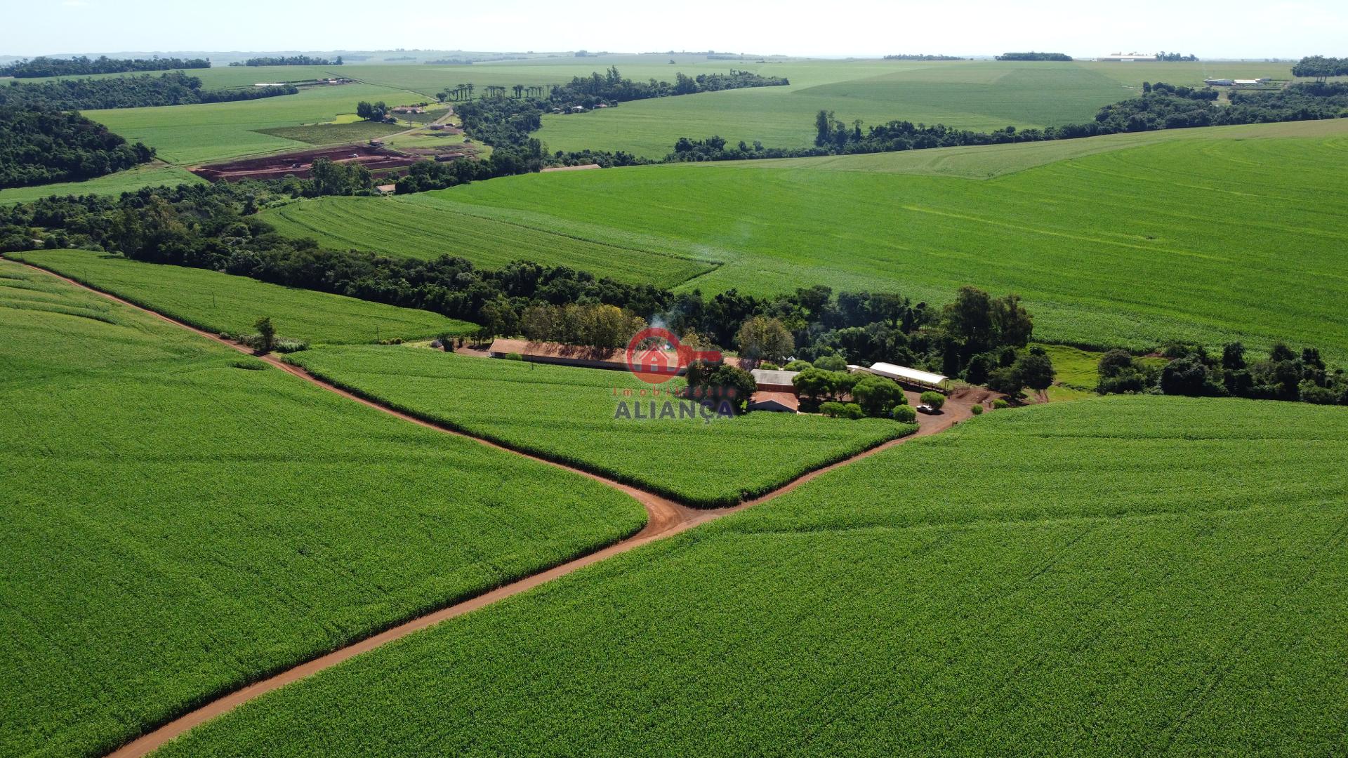 Chcara  venda, BR, TOLEDO - PR