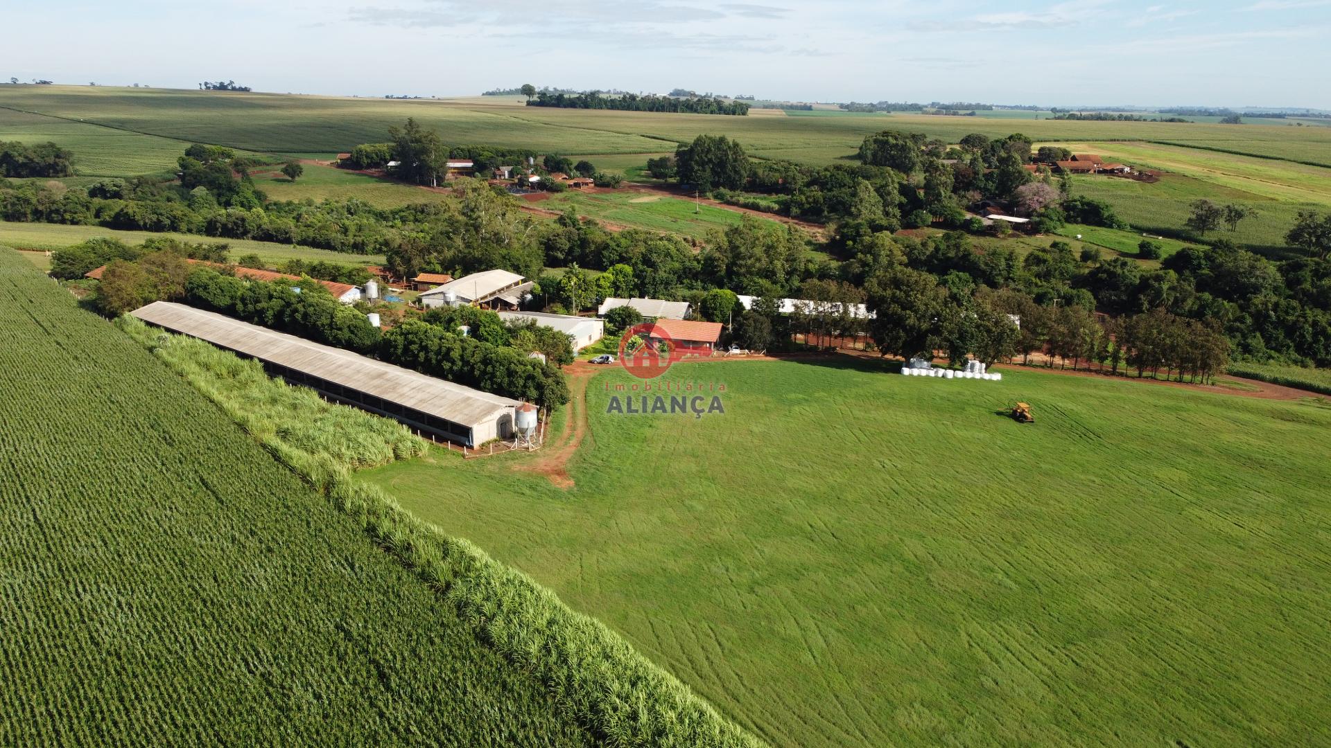Stio  venda, LINHA JUNDIAI, NOVA SANTA ROSA - PR