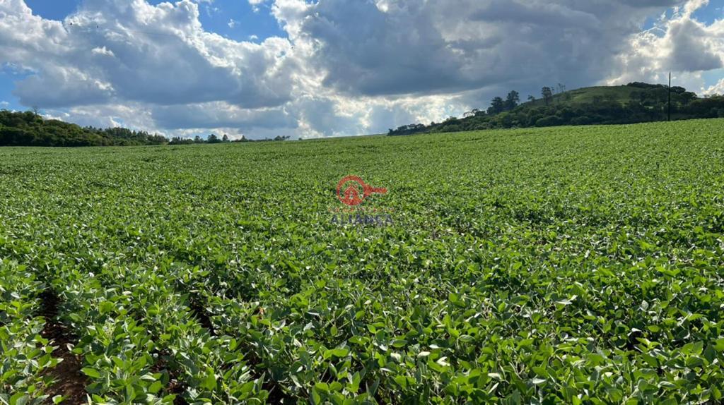 rea Rural  venda, COLONIA SAO FRANCISCO, SAO PEDRO DO IGUACU - PR