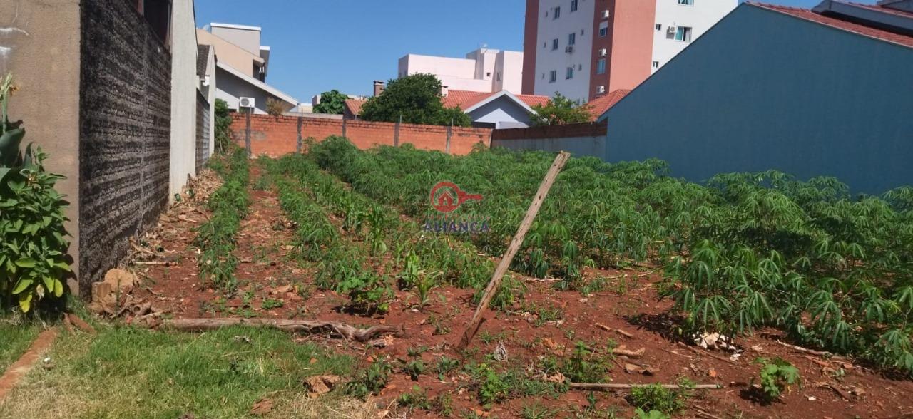 Terreno  venda, JARDIM GISELA, TOLEDO - PR