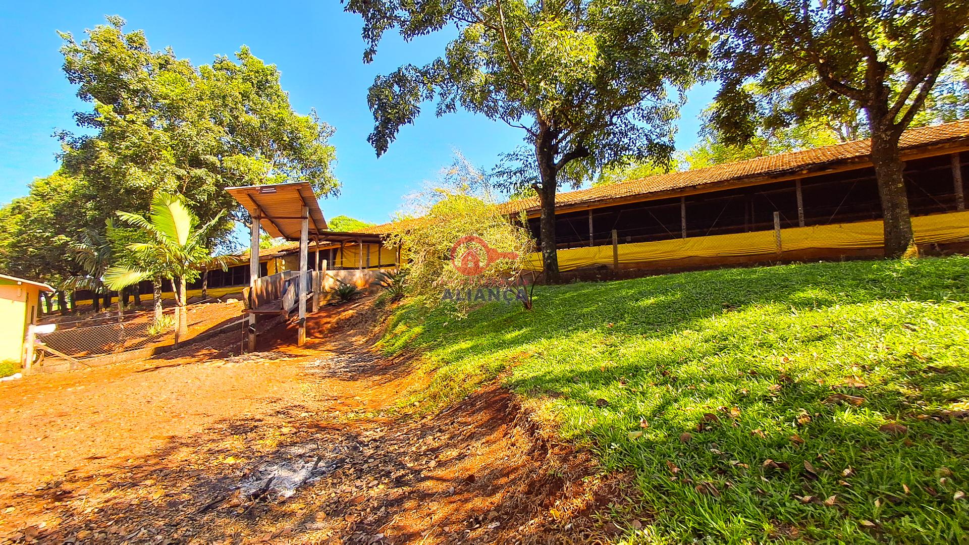 Imobiliária Aliança em Toledo Paraná