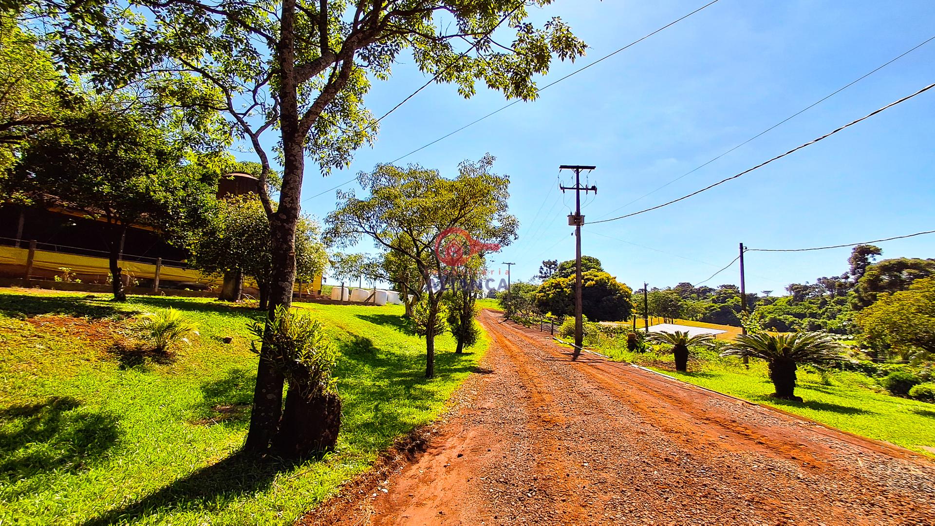 Imobiliária Aliança em Toledo Paraná
