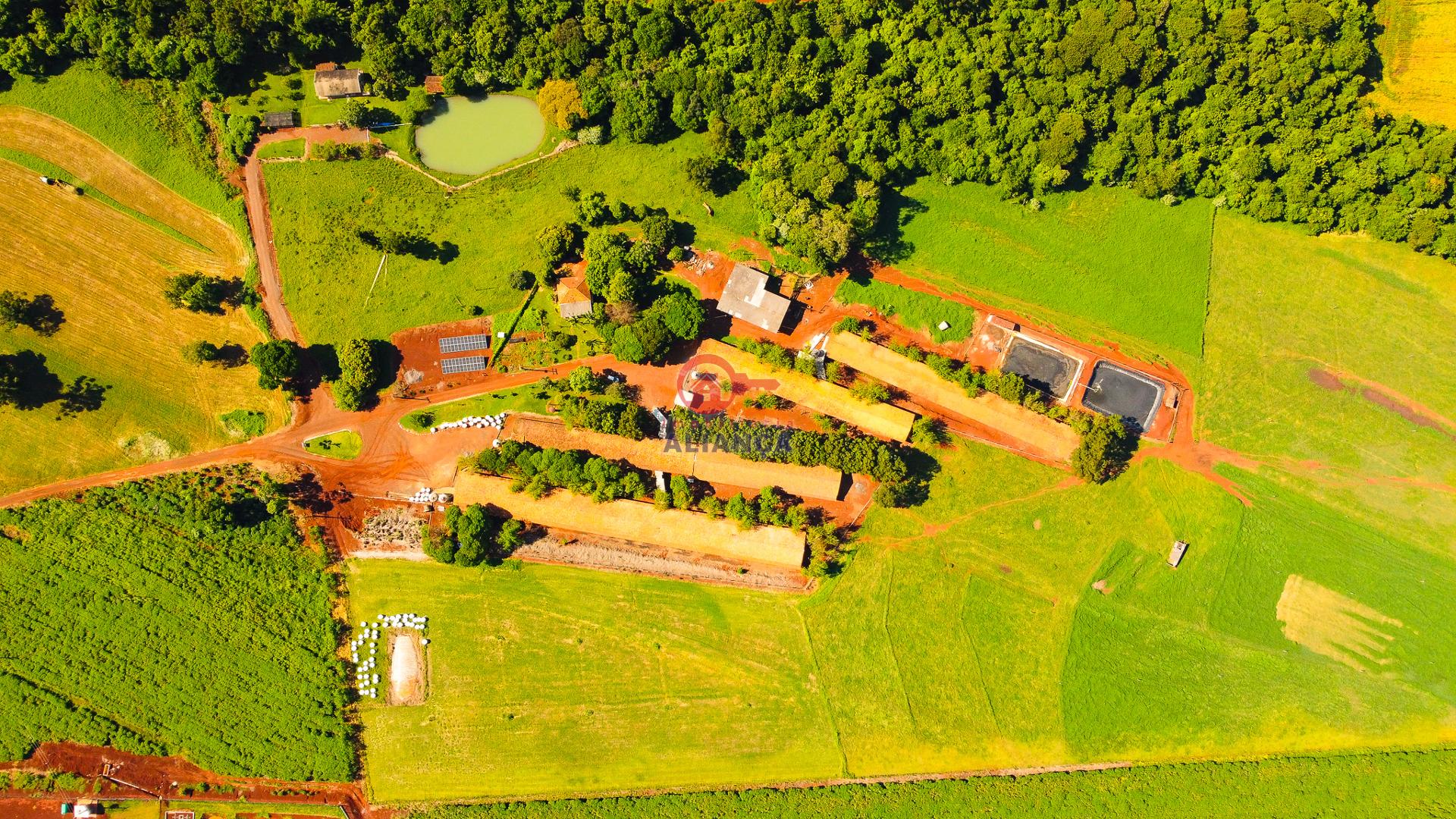 Imobiliária Aliança em Toledo Paraná