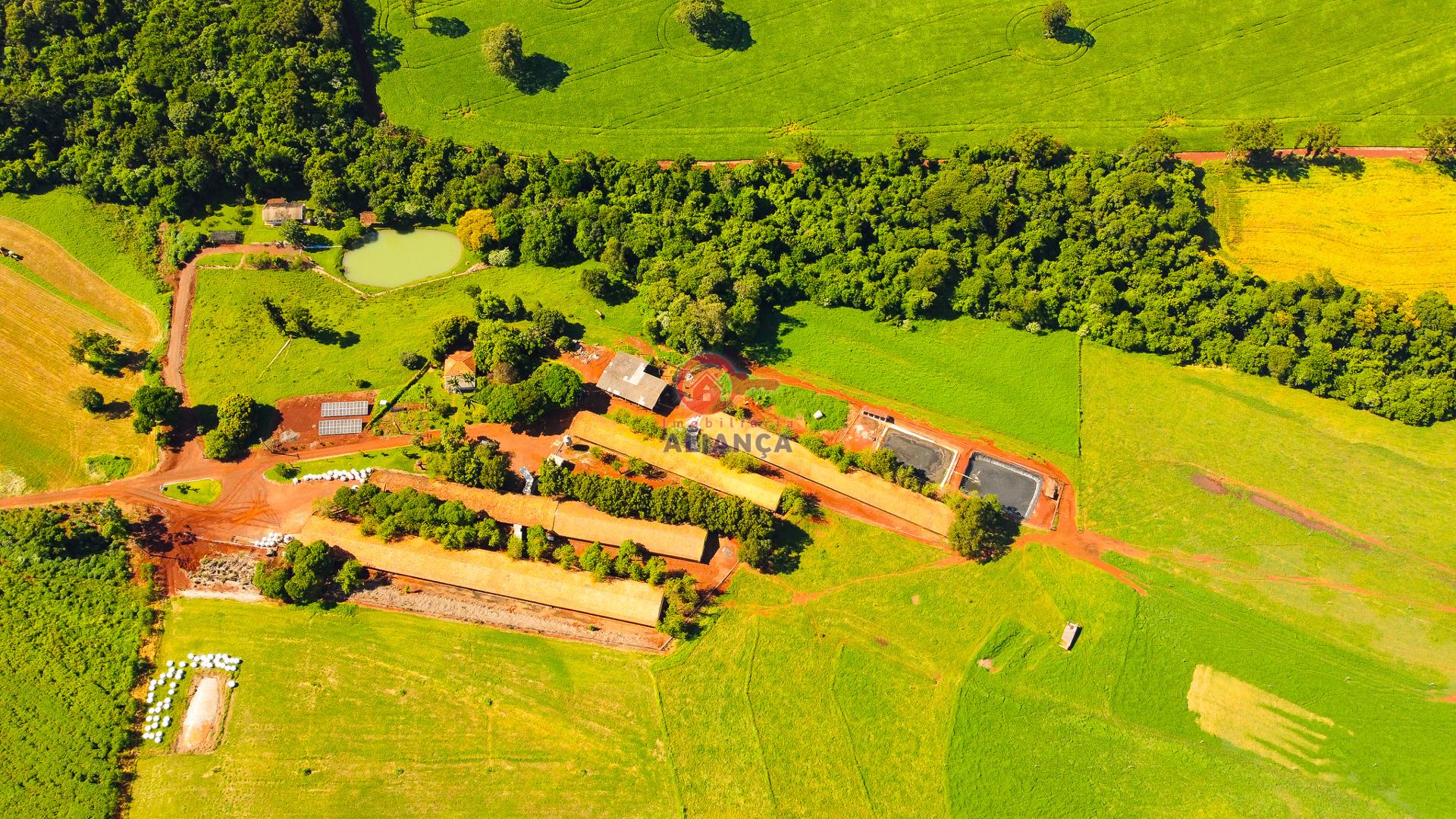 Imobiliária Aliança em Toledo Paraná