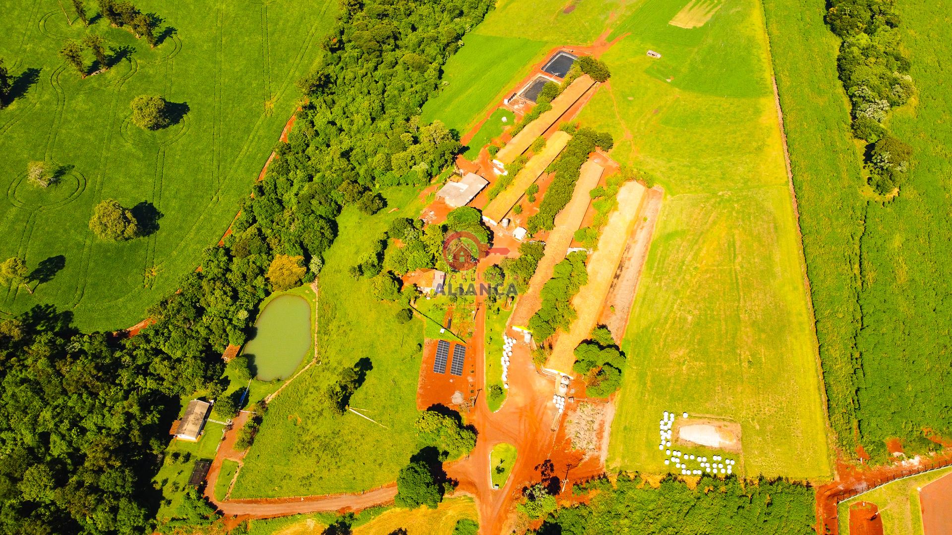 Imobiliária Aliança em Toledo Paraná