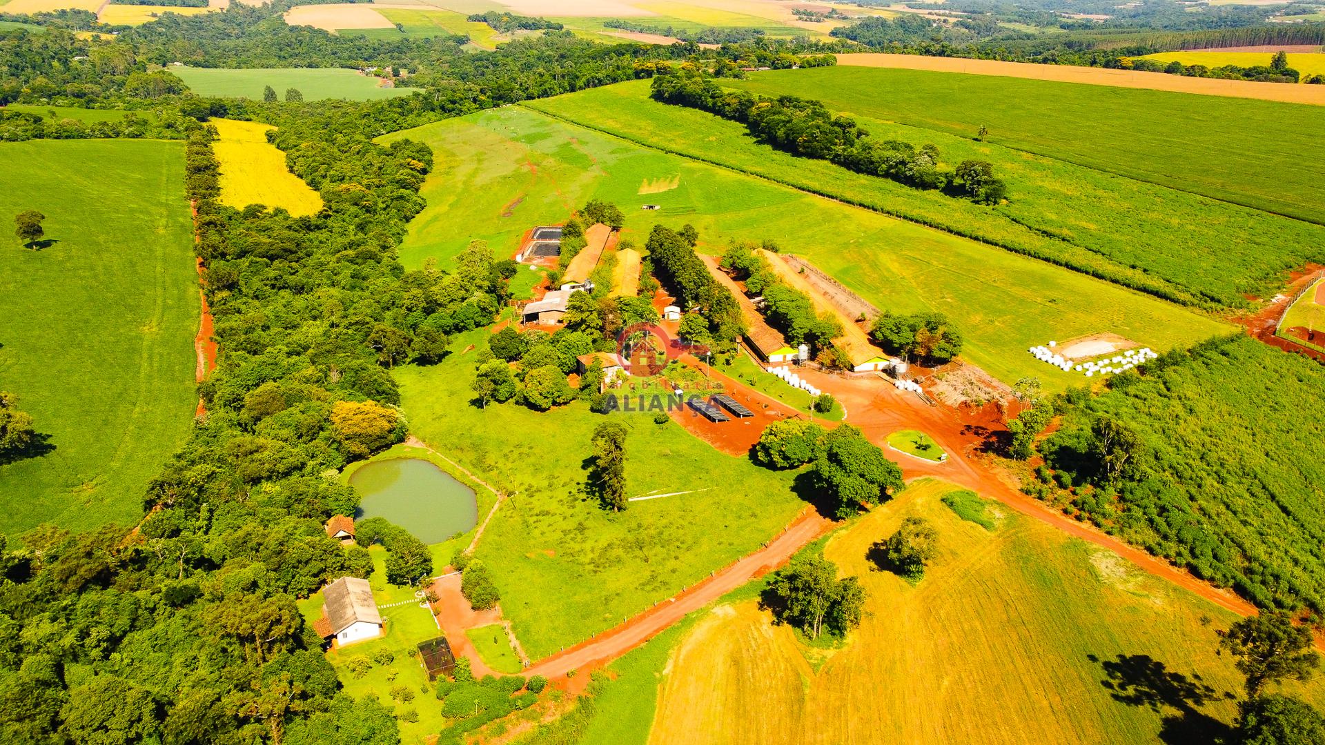 Imobiliária Aliança em Toledo Paraná