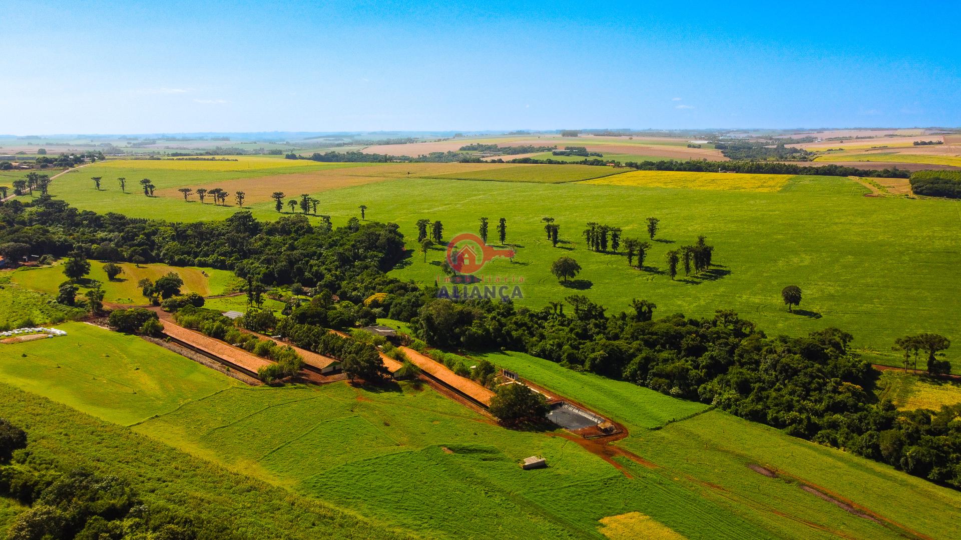 Imobiliária Aliança em Toledo Paraná