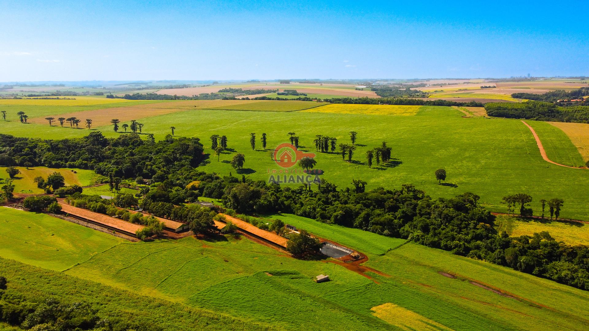 Imobiliária Aliança em Toledo Paraná