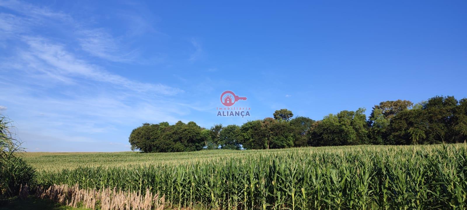 Imobiliária Aliança em Toledo Paraná