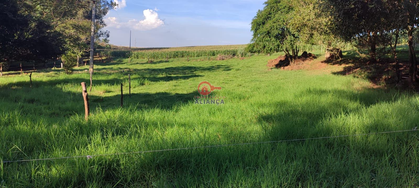 Imobiliária Aliança em Toledo Paraná
