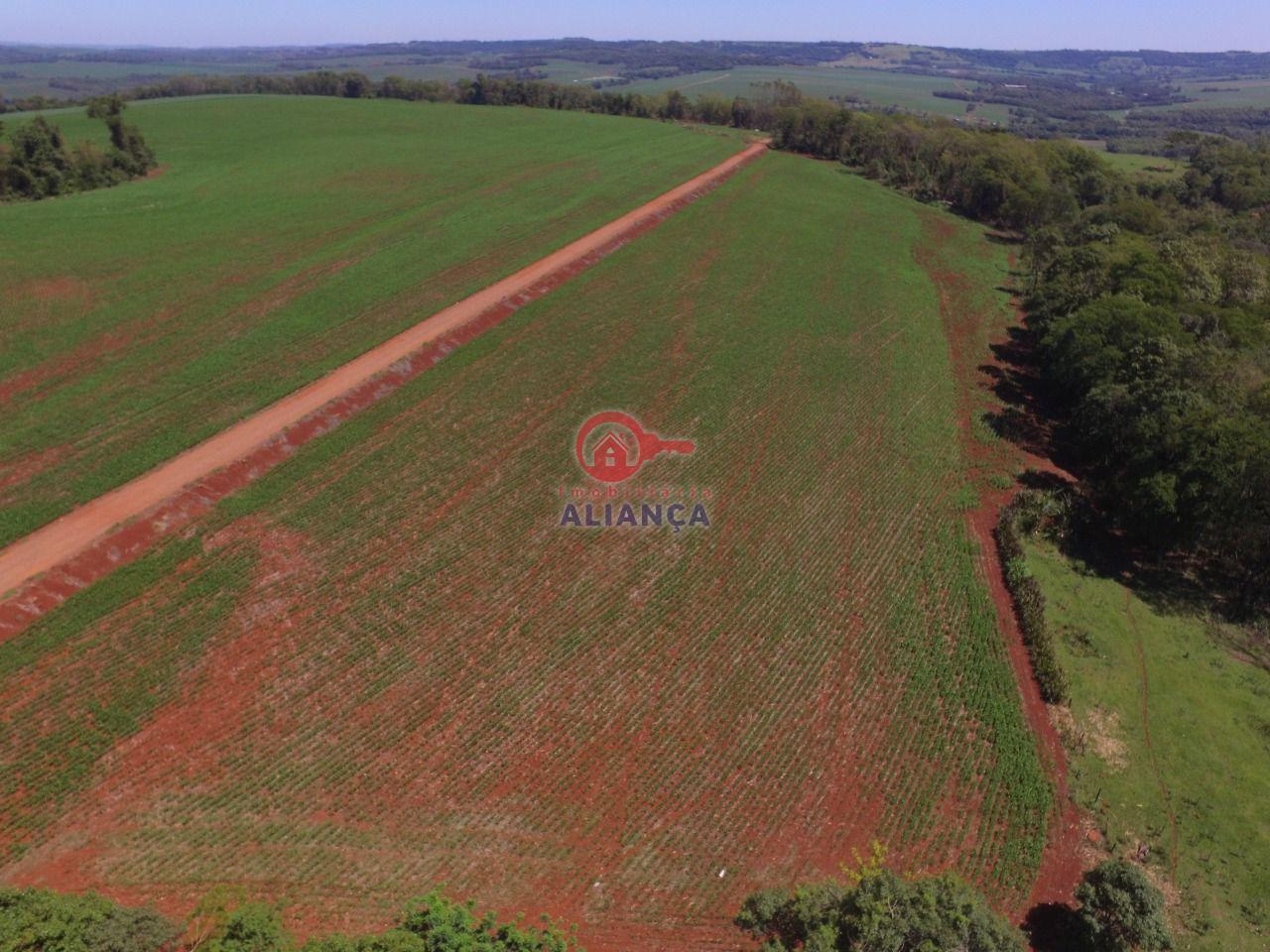 Imobiliria Aliana em Toledo Paran