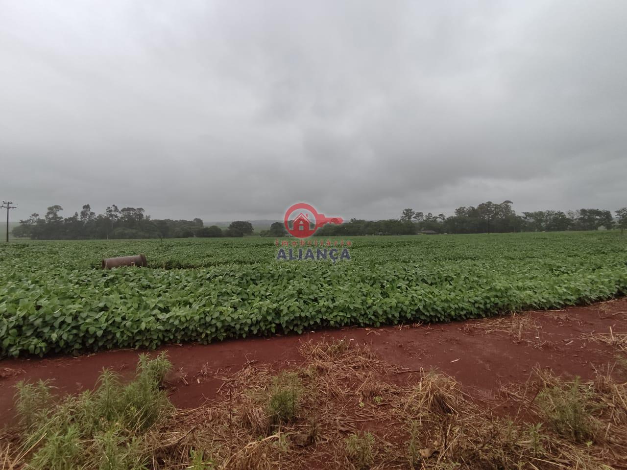 Terreno  venda, CENTRO, BRAGANTINA - PR