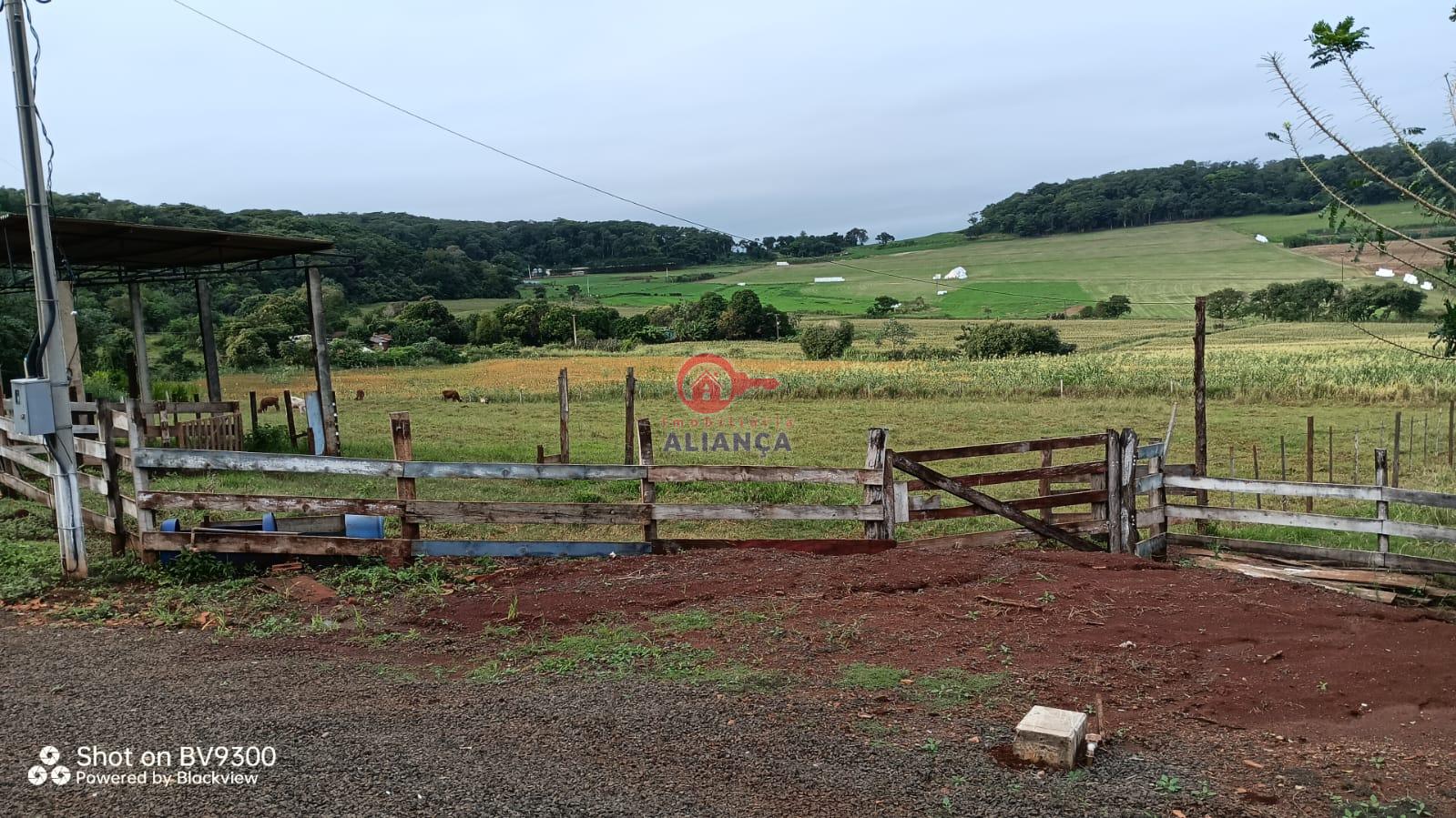 Chcara  venda, LINHA GAUCHA, SANTA HELENA - PR