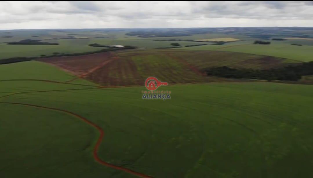 Melhor Fazenda a venda no Paran, localizada em Toledo, maior produo de gros da regio