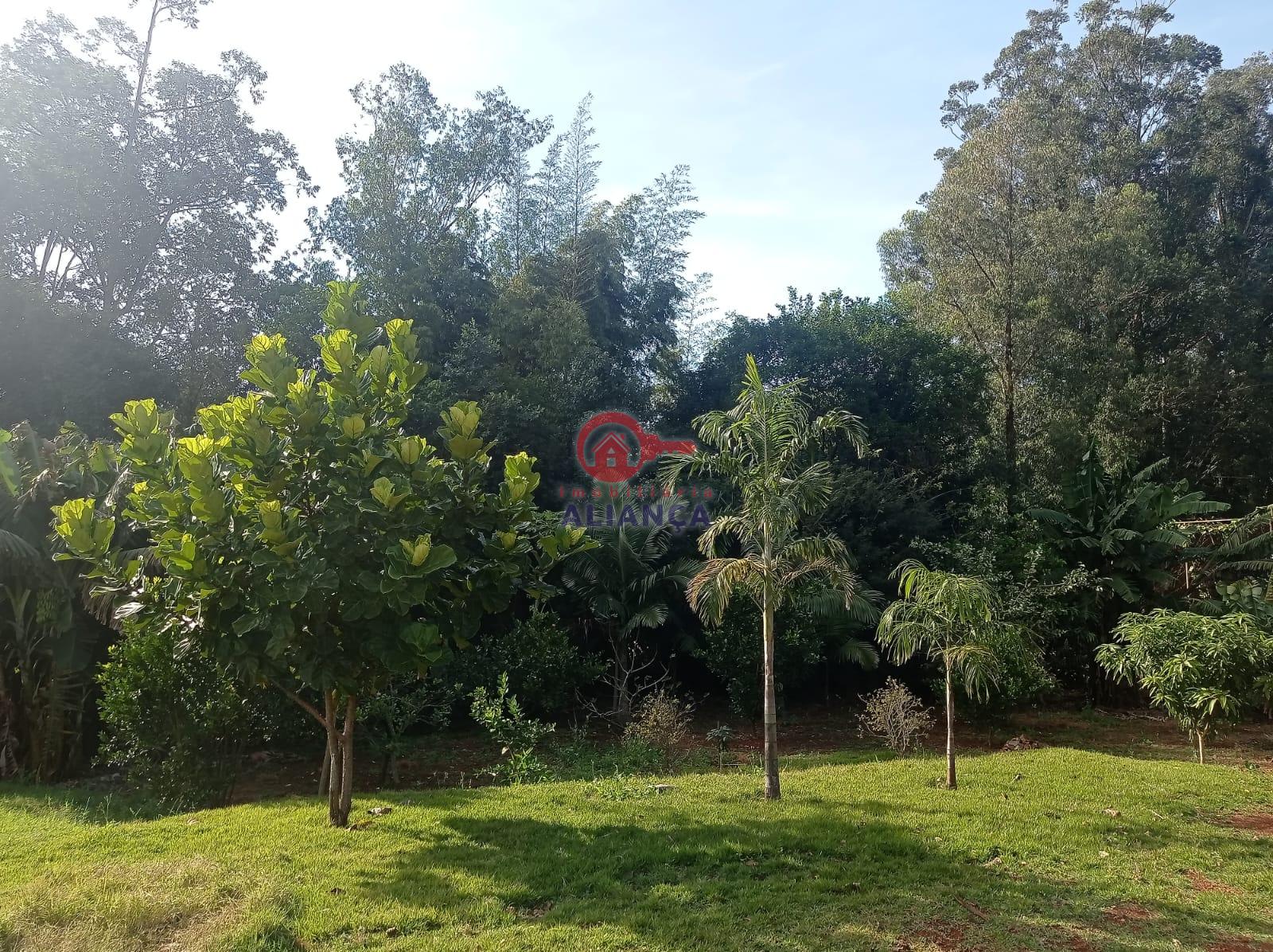 Imobiliria Aliana em Toledo Paran