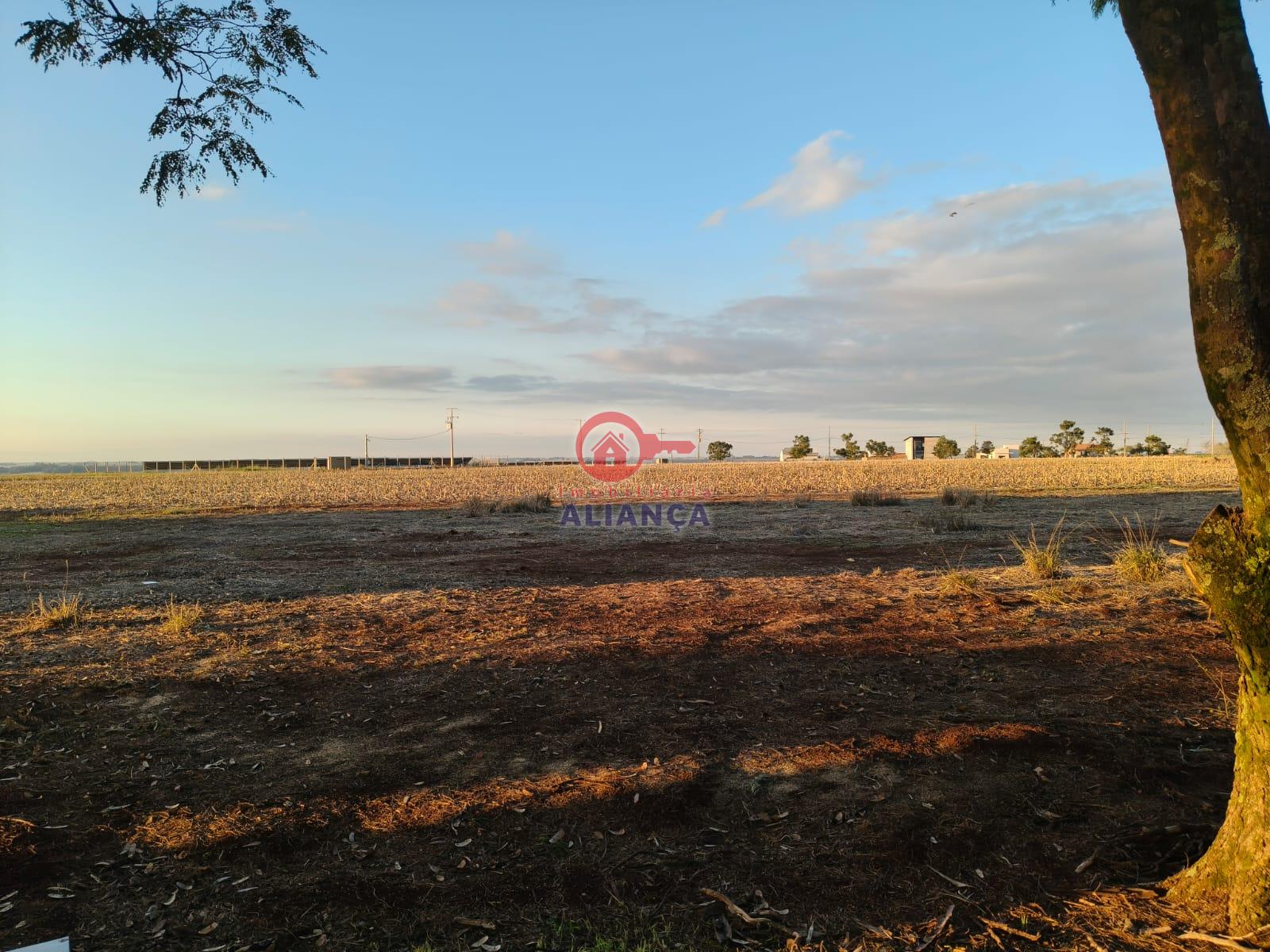 Terreno  venda, VILA IPIRANGA, TOLEDO - PR