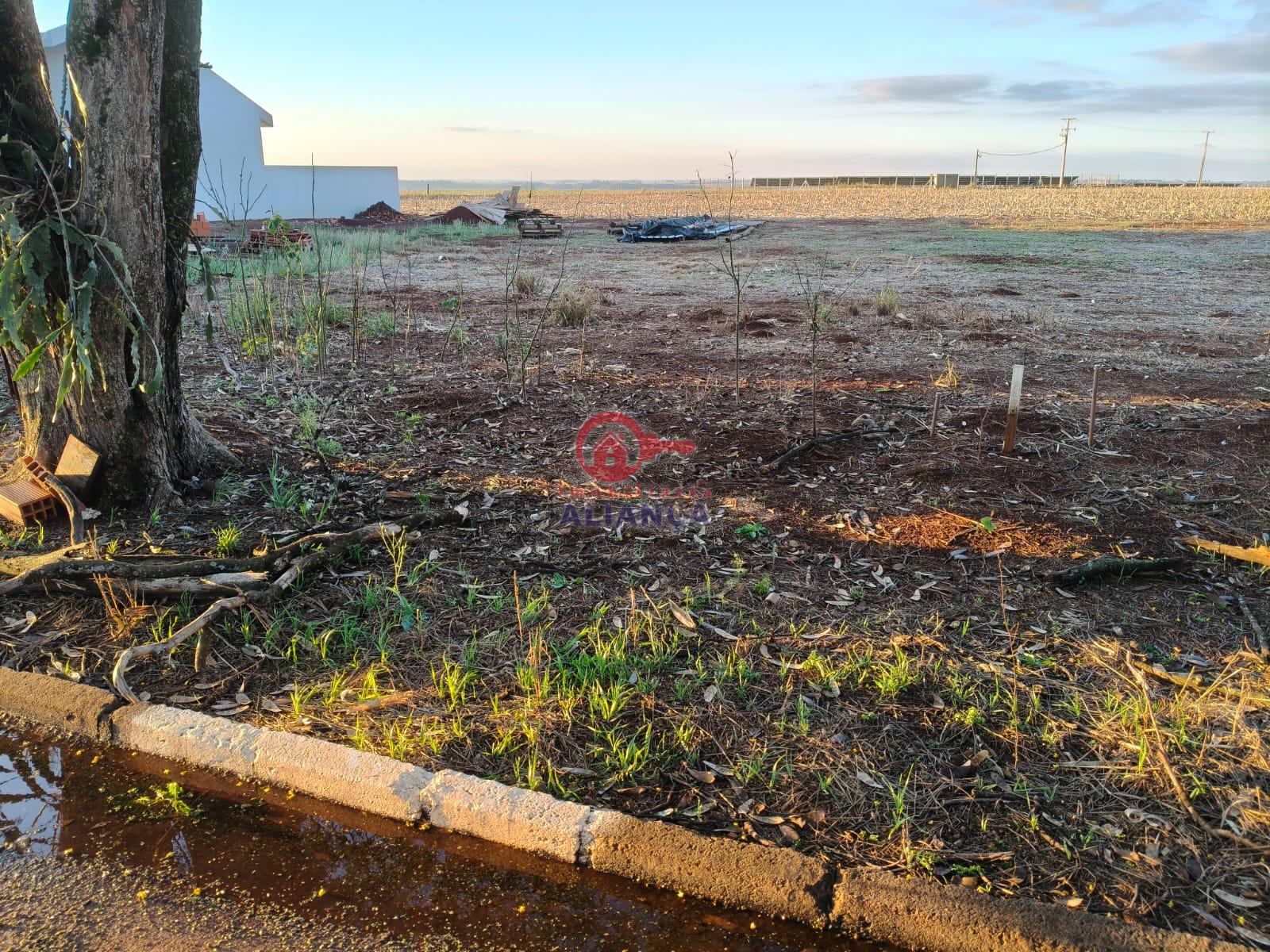 Terreno  venda, VILA IPIRANGA, TOLEDO - PR