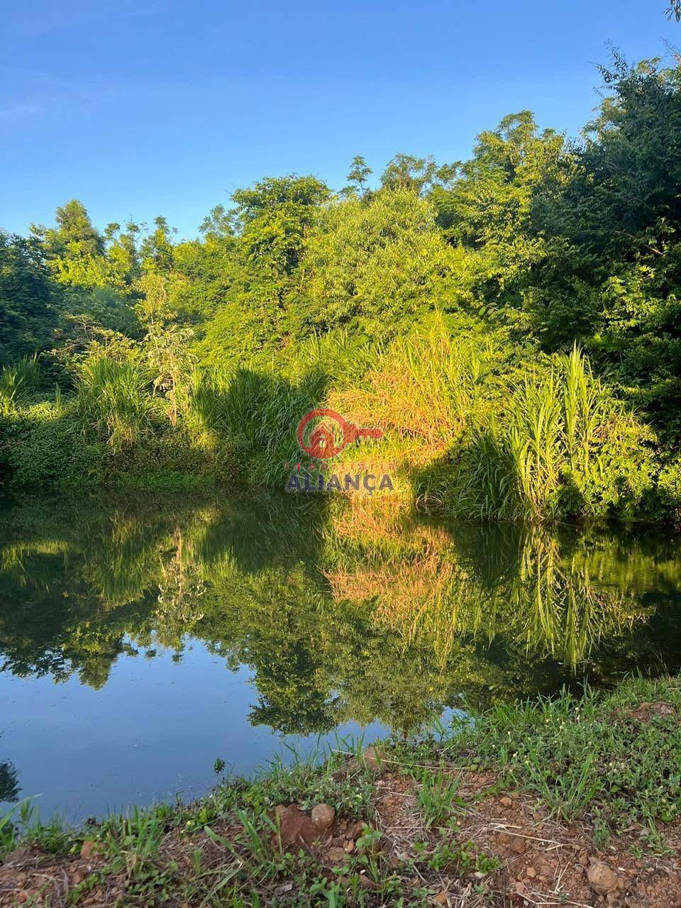 Chcara  venda, DISTRITO DE CONCORDIA DO OESTE, TOLEDO - PR