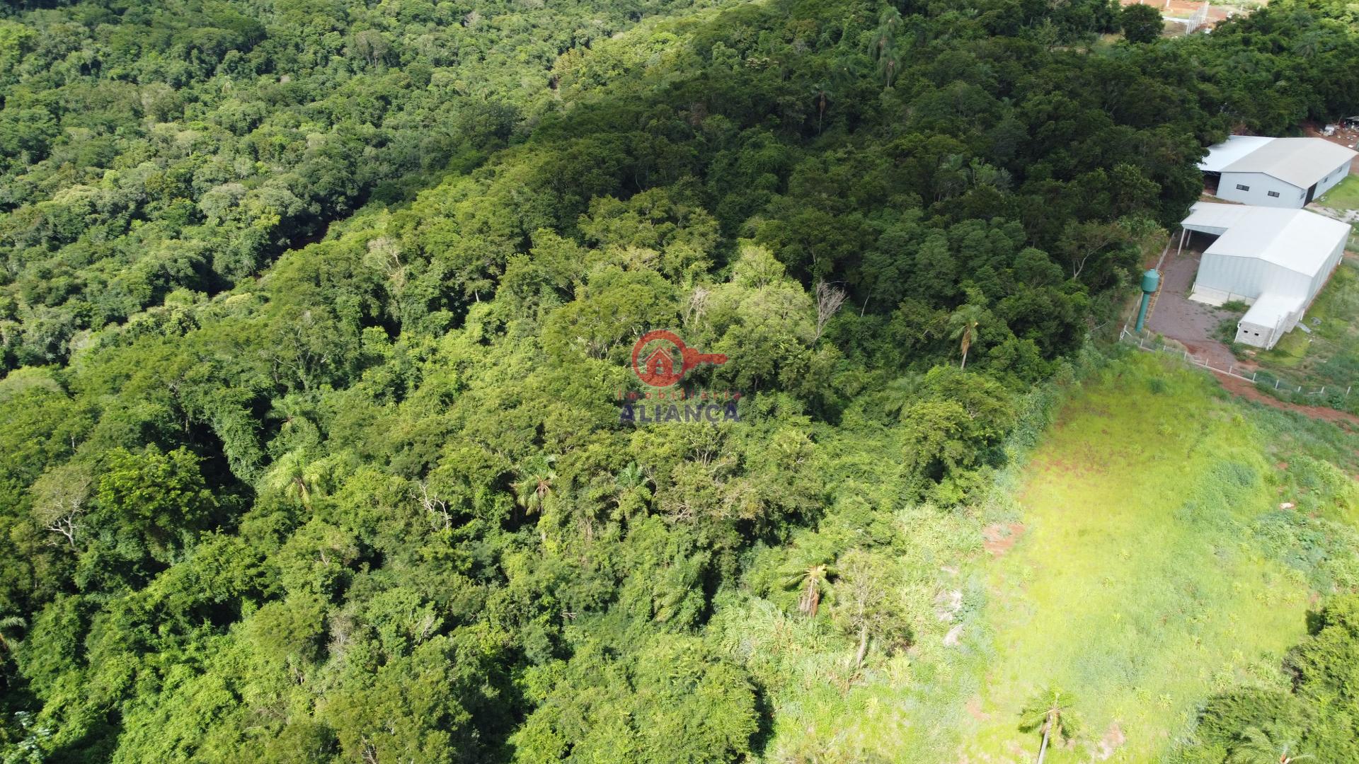 Ch?cara ? venda, BR 317, TOLEDO - PR