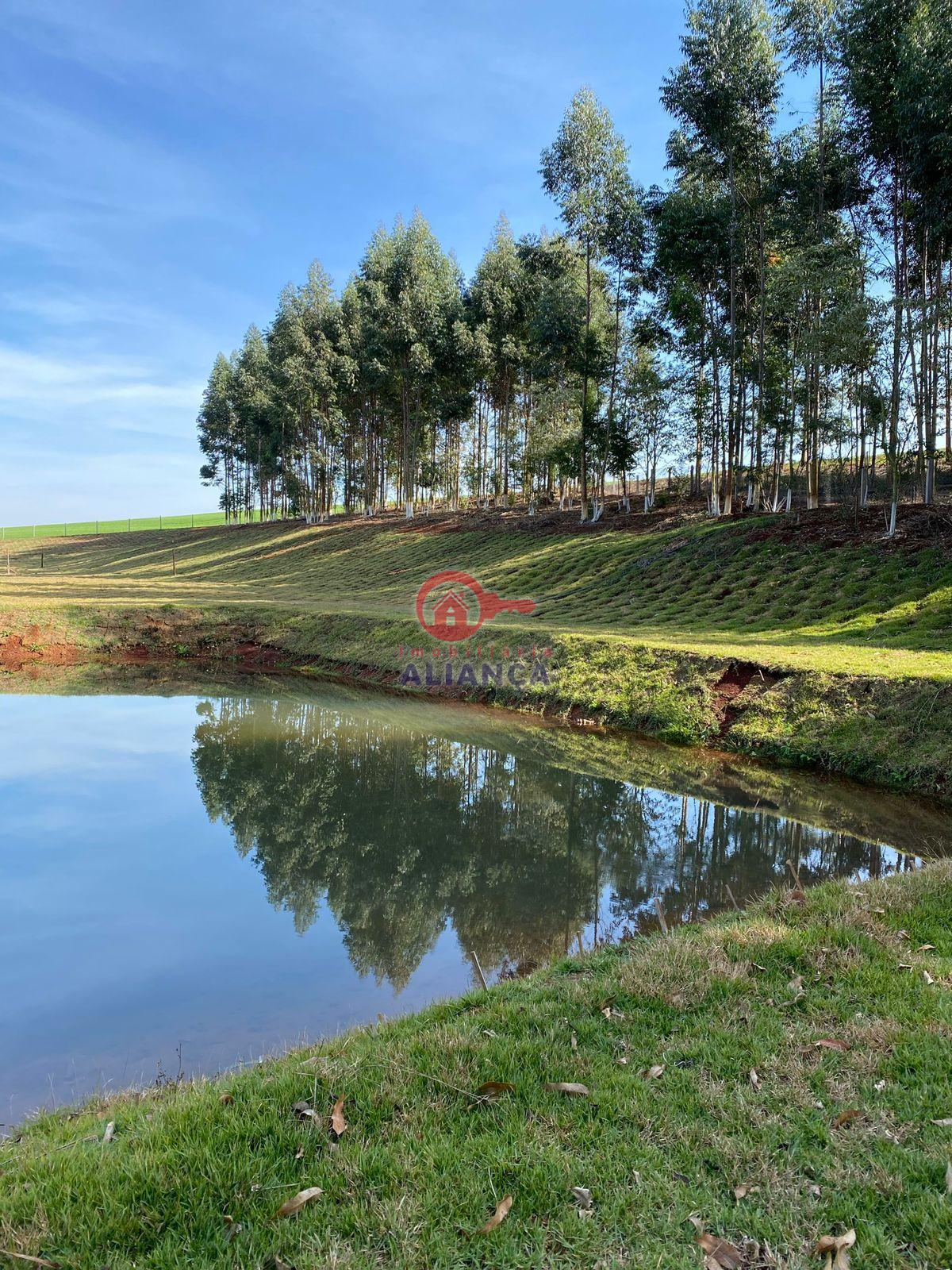 S?TIO ? VENDA EM BOM PRINC?PIO DO OESTE, 12 KM DE TOLEDO PR