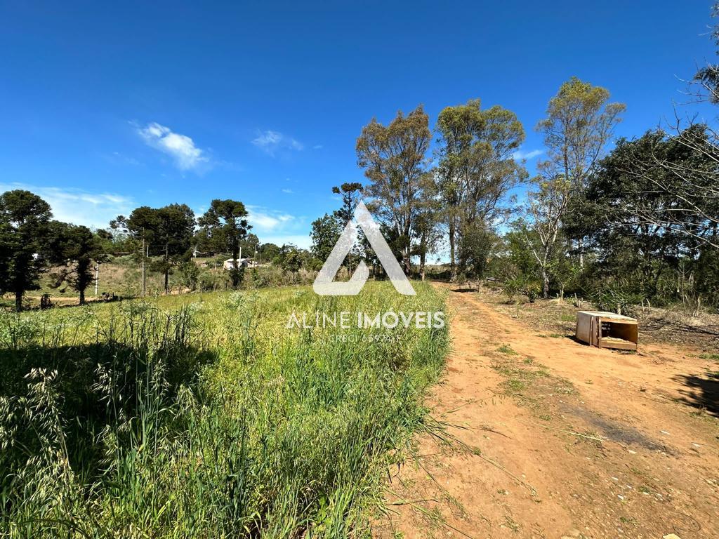 Chácara, 3 quartos - Foto 14