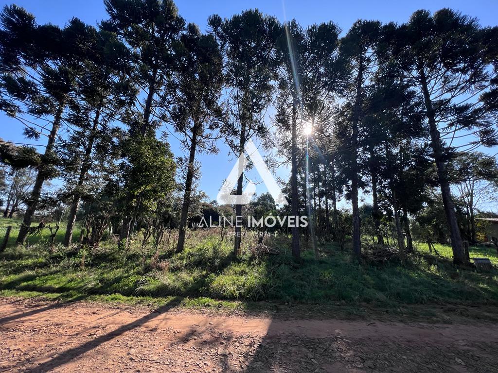 Chácara, 3 quartos - Foto 13