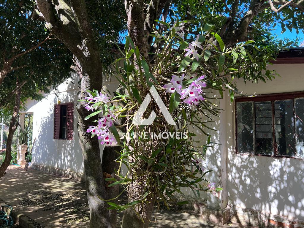 Chácara, 3 quartos - Foto 3