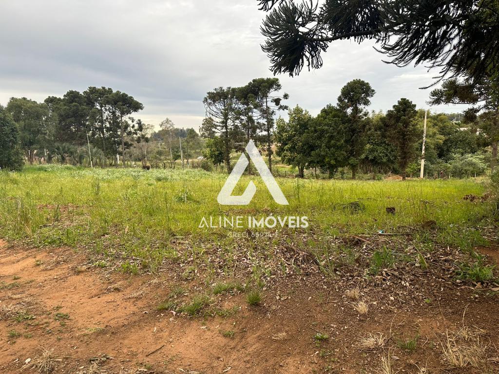 Chácara, 3 quartos - Foto 16